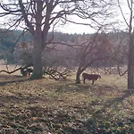 Alm-house Hollmann * Železná Ruda