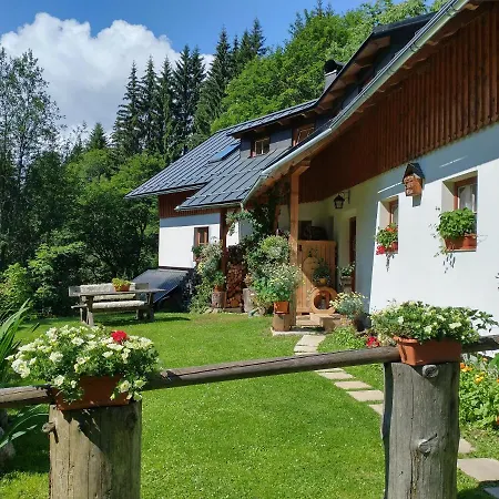 Alm-house Hollmann Zelezna Ruda