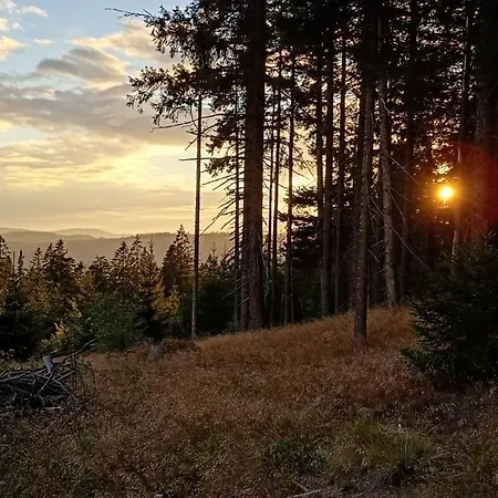 Alm-house Hollmann * Železná Ruda