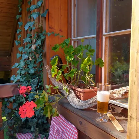 Alm-house Hollmann Apartment Železná Ruda