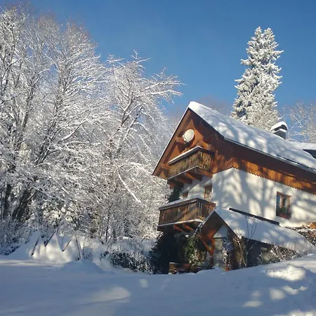 Apartment Alm-house Hollmann