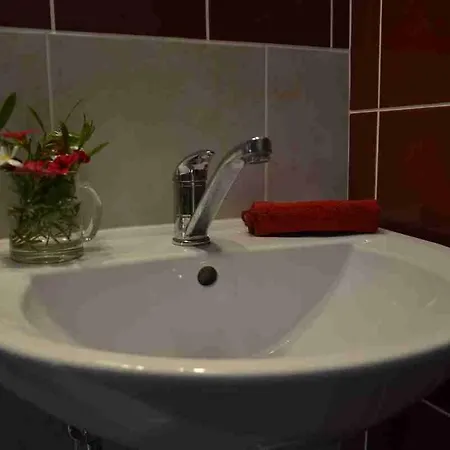 Alm-house Hollmann Apartment