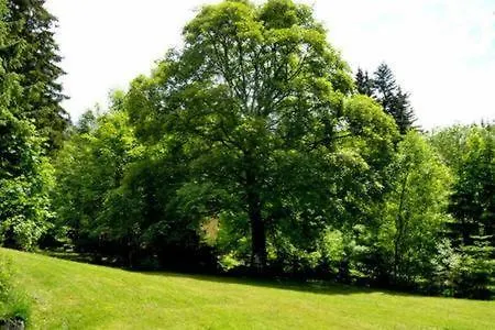 Apartment Alm-house Hollmann