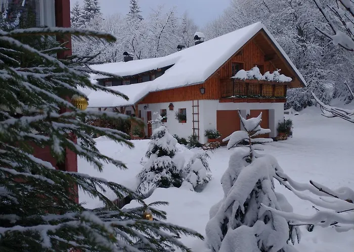 Alm-house Hollmann *