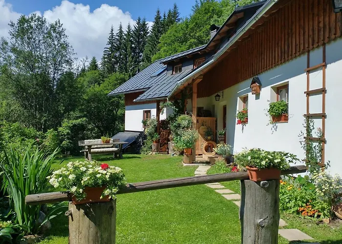 Alm-house Hollmann Železná Ruda