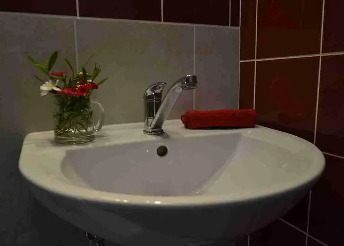 Alm-house Hollmann Appartement